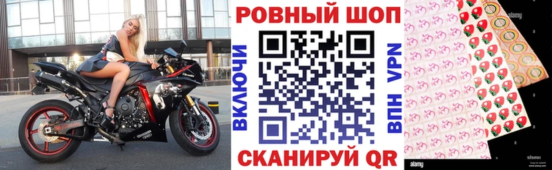 Купить закладку COCAIN МЕФ ГАШ Новокубанск