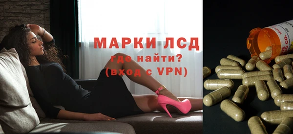 ПСИЛОЦИБИНОВЫЕ ГРИБЫ Арсеньев