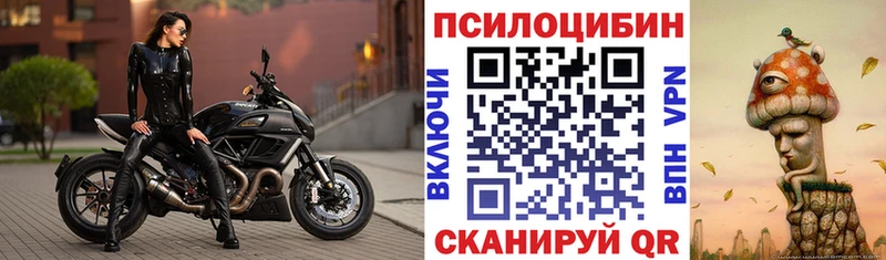 Купить где  Новокубанск  Псилоцибиновые грибы мицелий 
