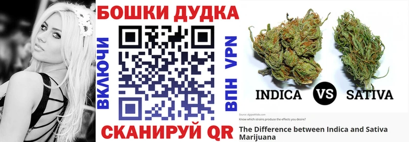Бошки Шишки AK-47  Купить где  Новокубанск 